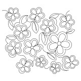 patty's petals